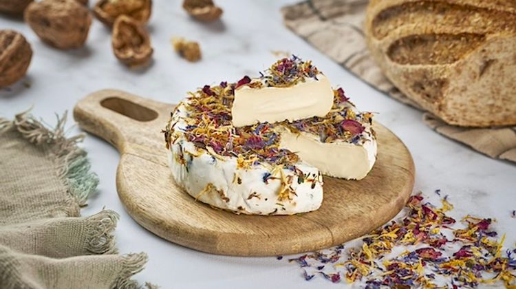 FROMAGE AU TOP – Le Crémeux aux Fleurs des Aldudes
